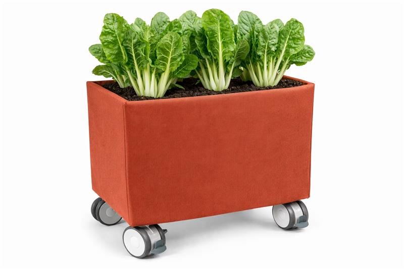 Jocondo for Business: The Smart Garden That Enhances Well-Being, Sustainability, and Business Value