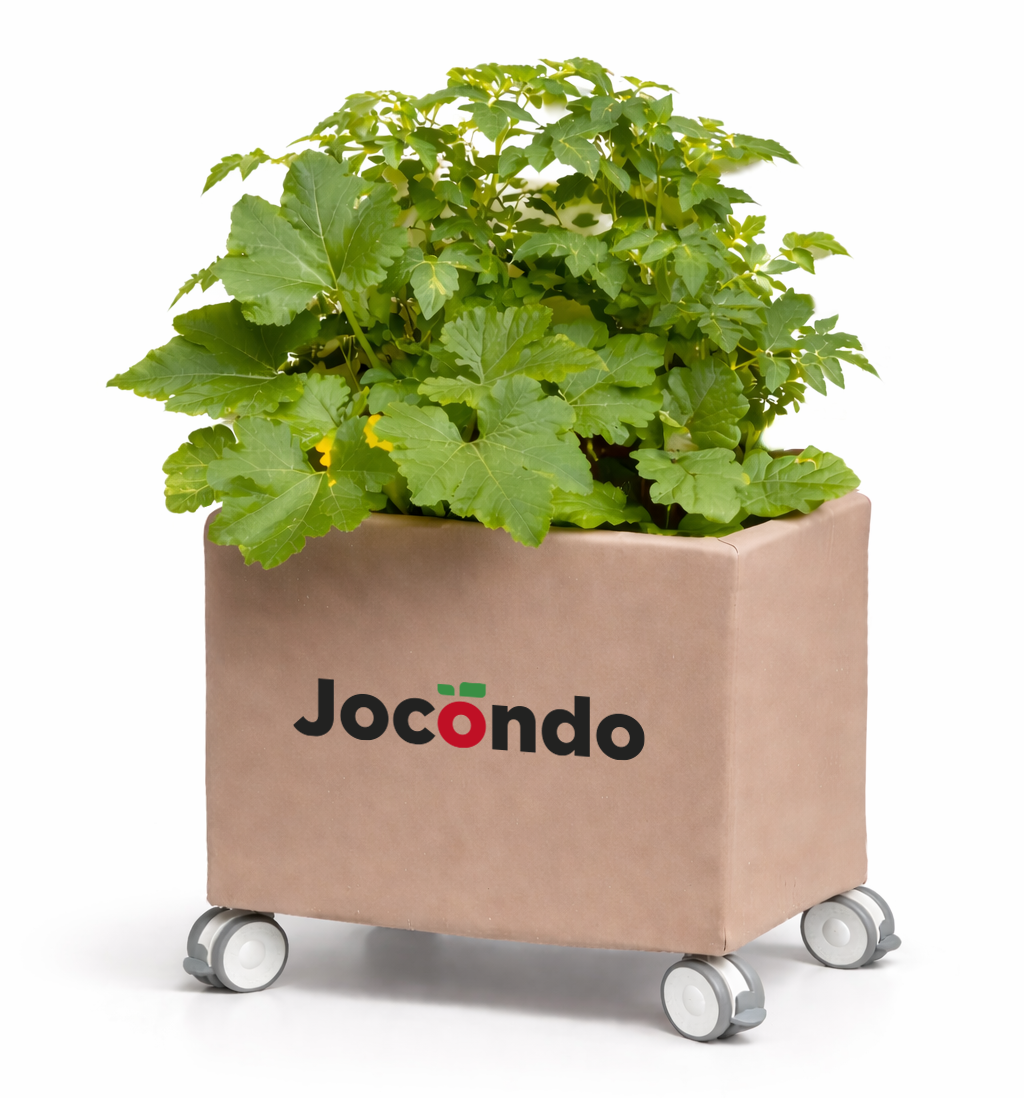 Jocondo at Milan Design Week 2026: selected for “Ordine Aperto” in the Brera Design District