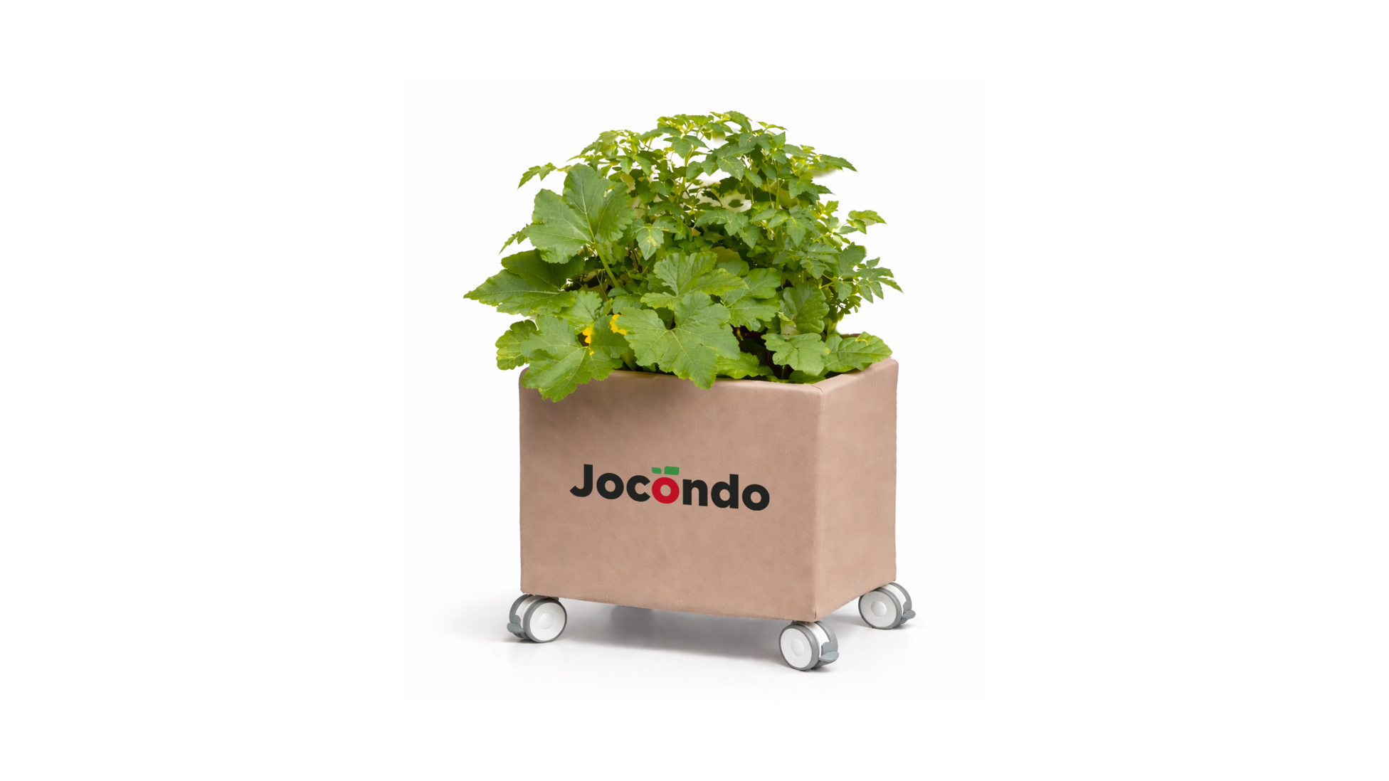 Jocondo at Milan Design Week 2026: selected for “Ordine Aperto” in the Brera Design District