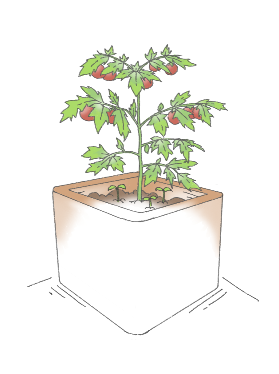 #PotagerDeBalcon #JardinageUrbain #CultiverChezSoi #JardinSurTerrasse #Jocondo_io #JardinConnecté #PrintempsVert #LégumesMaison